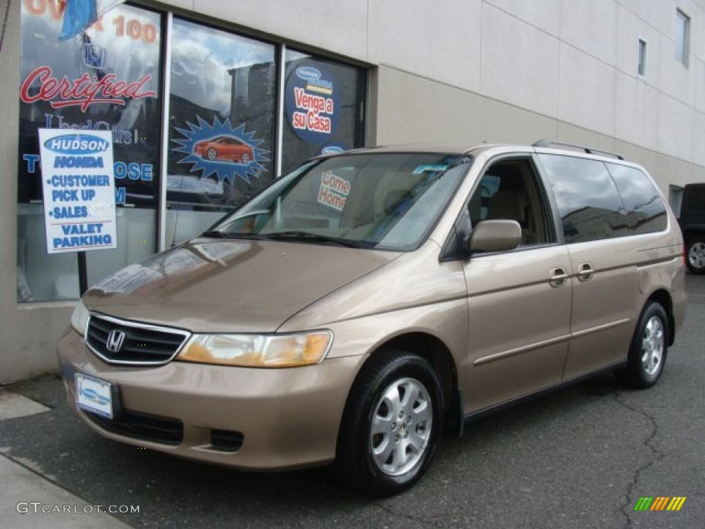 2004 Odyssey EX - Sandstone Metallic / Ivory photo #1