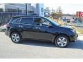 Crystal Black Pearl - MDX Technology Photo No. 3