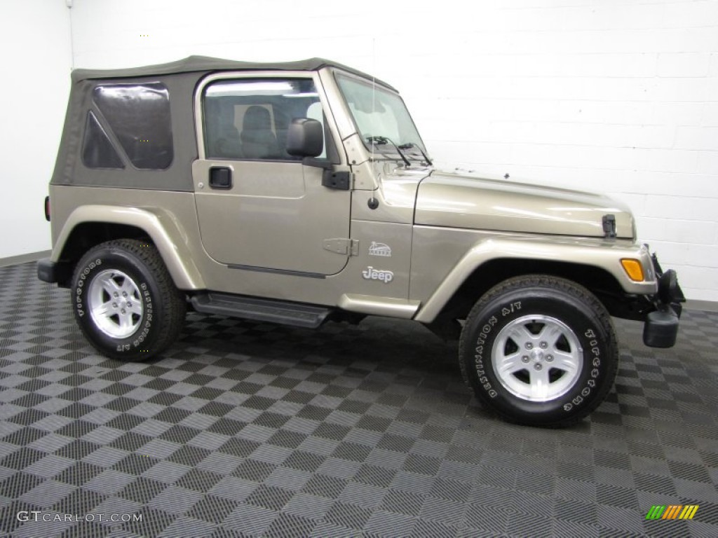 2004 Wrangler Sahara 4x4 - Light Khaki Metallic / Khaki photo #3