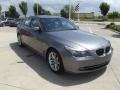 2009 Platinum Grey Metallic BMW 5 Series 550i Sedan  photo #2