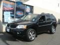 Kalapana Black 2010 Mitsubishi Endeavor SE AWD