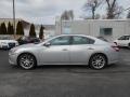Radiant Silver Metallic - Maxima 3.5 SV Premium Photo No. 8