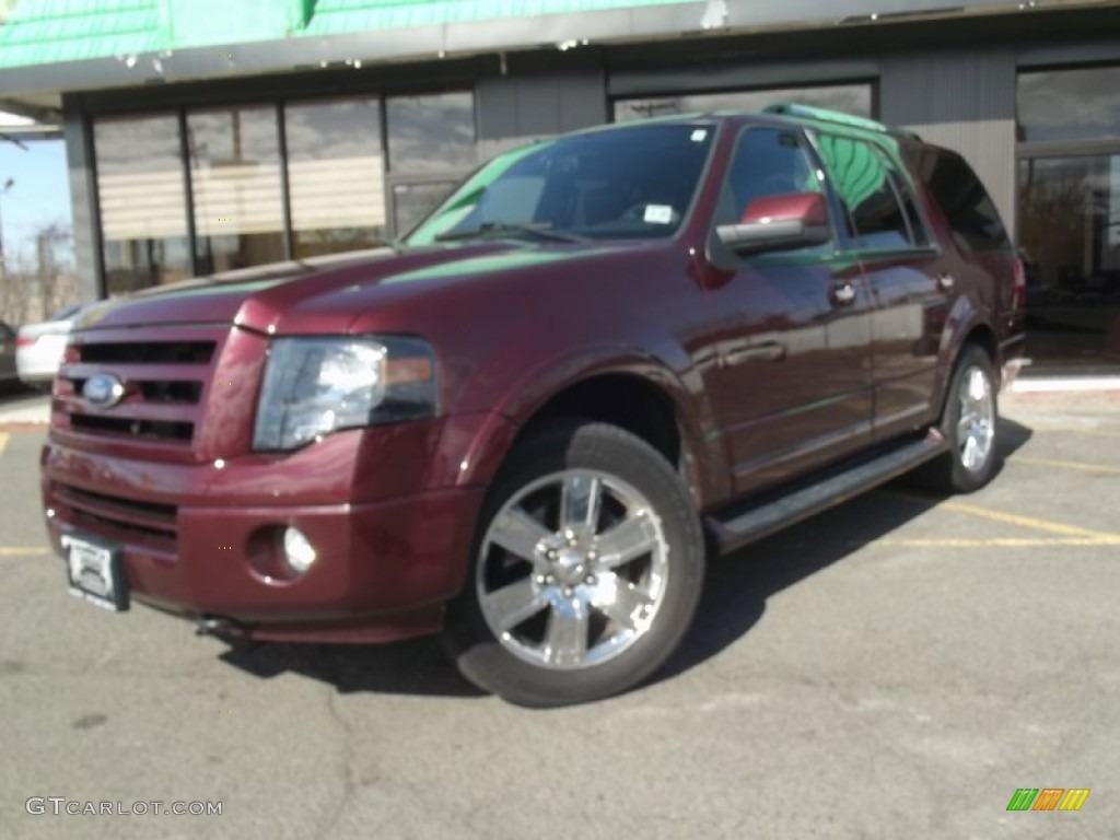 2009 Expedition Limited 4x4 - Royal Red Metallic / Charcoal Black Leather/Caramel Brown photo #1