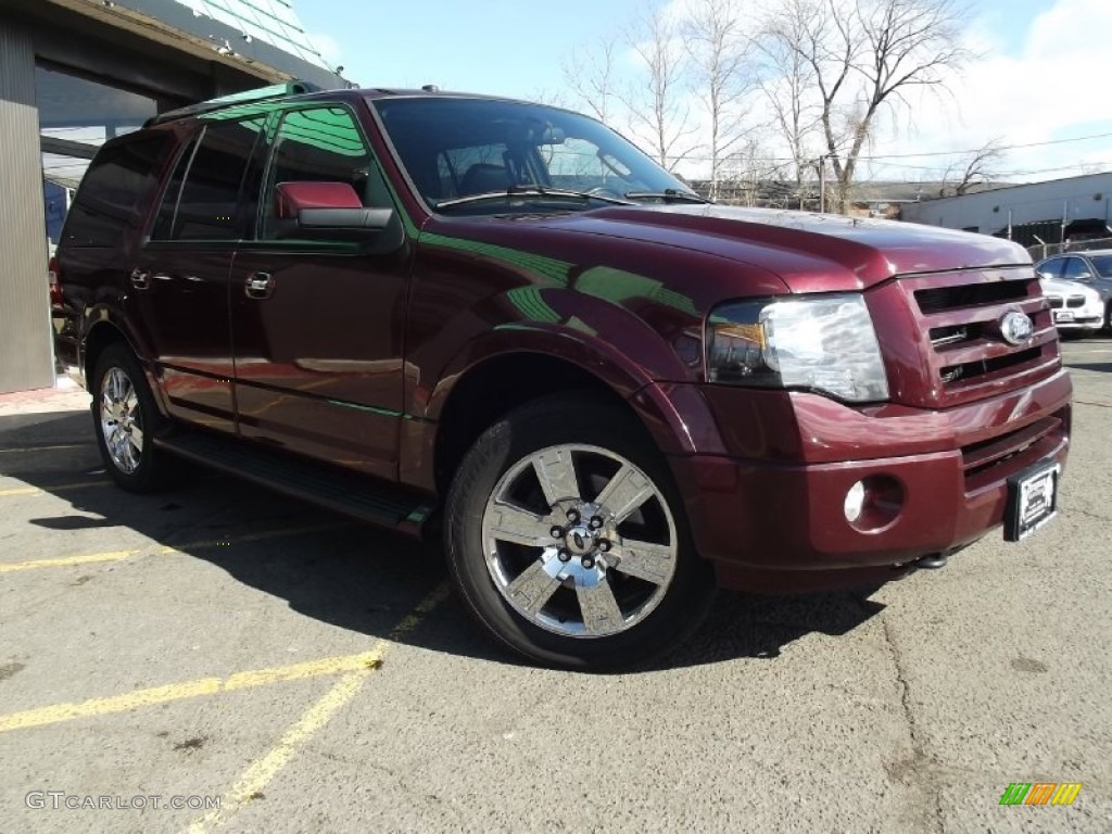 2009 Expedition Limited 4x4 - Royal Red Metallic / Charcoal Black Leather/Caramel Brown photo #2