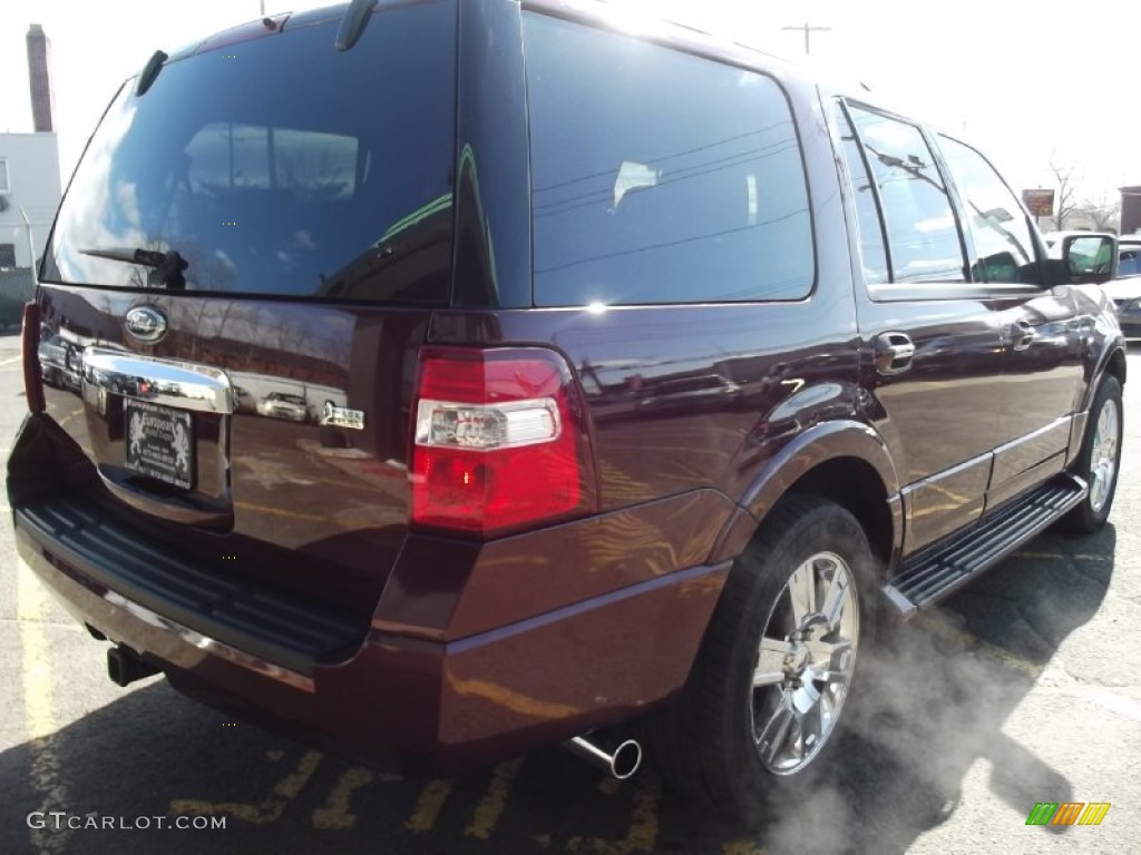 2009 Expedition Limited 4x4 - Royal Red Metallic / Charcoal Black Leather/Caramel Brown photo #4