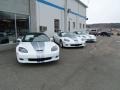 2013 Arctic White/60th Anniversary Pearl Silver Blue Stripes Chevrolet Corvette Grand Sport Coupe  photo #34