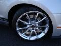 Ingot Silver Metallic - Mustang Shelby GT500 Coupe Photo No. 23