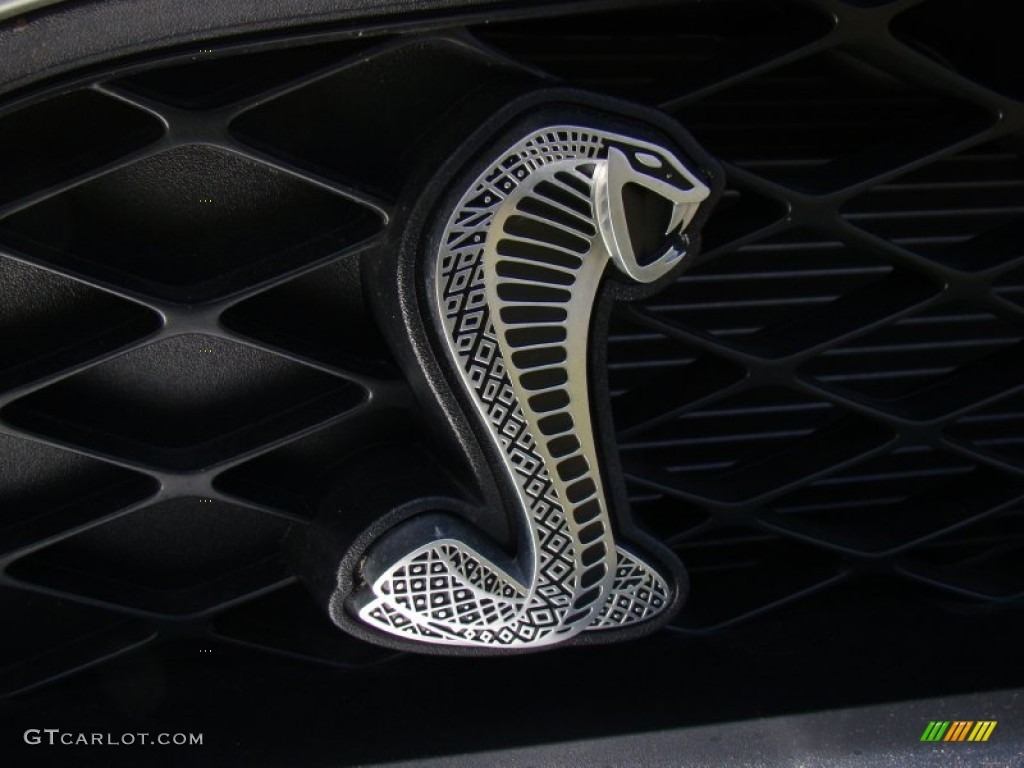 2012 Mustang Shelby GT500 Coupe - Ingot Silver Metallic / Charcoal Black/Black photo #44