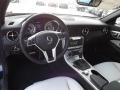 2013 Mercedes-Benz SLK Ash/Black Interior Prime Interior Photo