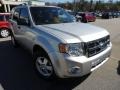 Ingot Silver Metallic - Escape XLT Photo No. 1