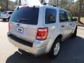 Ingot Silver Metallic - Escape XLT Photo No. 14