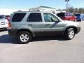 2007 Titanium Green Metallic Ford Escape XLT V6  photo #13