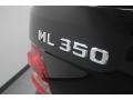 Black - ML 350 4Matic Photo No. 42