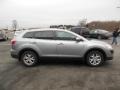 Liquid Silver Metallic - CX-9 Touring AWD Photo No. 5