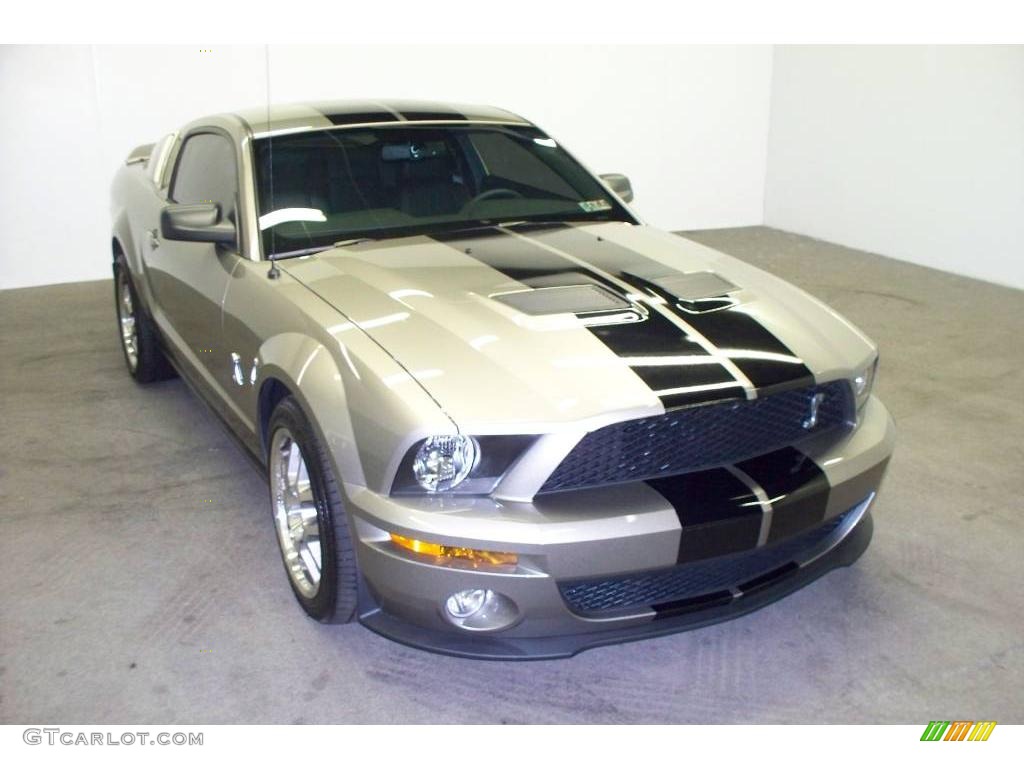 2008 Mustang Shelby GT500 Coupe - Vapor Silver Metallic / Black photo #1