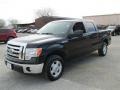 Ebony Black - F150 XLT SuperCrew Photo No. 4