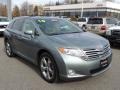 2010 Aloe Green Metallic Toyota Venza V6 AWD  photo #1