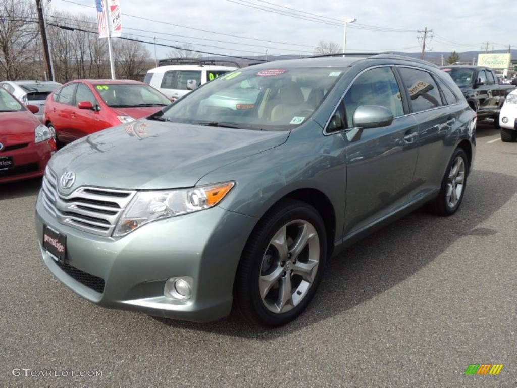 Aloe Green Metallic 2010 Toyota Venza V6 AWD Exterior Photo #77572578