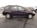 Black Amethyst Metallic 2006 Chevrolet Equinox LS Exterior