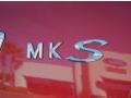 Red Candy Metallic Tinted - MKS FWD Photo No. 9