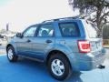 2010 Steel Blue Metallic Ford Escape XLS  photo #3