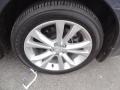 Graphite Gray Metallic - Legacy 2.5i Premium Photo No. 38