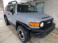 2013 Trail Teams Cement Gray Toyota FJ Cruiser Trail Teams Special Edition 4WD  photo #7