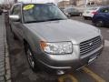 Crystal Gray Metallic - Forester 2.5 X L.L.Bean Edition Photo No. 11