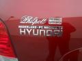 2005 Canyon Red Hyundai Santa Fe LX 3.5  photo #18