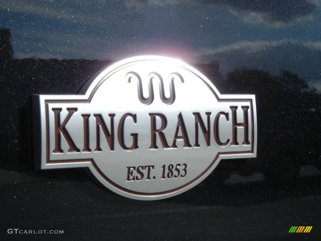 2013 Expedition EL King Ranch - Tuxedo Black / King Ranch Charcoal Black/Chaparral Leather photo #5
