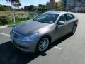 Platinum Graphite - G 37 Journey Sedan Photo No. 3