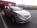 Camel Pearl - Sonata GLS Photo No. 1