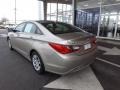 Camel Pearl - Sonata GLS Photo No. 4