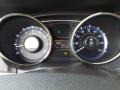 Camel Pearl - Sonata GLS Photo No. 26