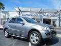 Palladium Silver Metallic 2010 Mercedes-Benz ML 350