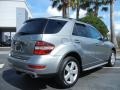  2010 ML 350 Palladium Silver Metallic