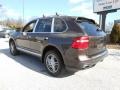 2010 Macadamia Metallic Porsche Cayenne Tiptronic  photo #9