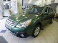 2013 Cypress Green Pearl Subaru Outback 2.5i Premium  photo #3