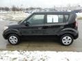 2010 Shadow Black Kia Soul 1.6  photo #6