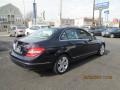 Capri Blue Metallic - C 300 Luxury 4Matic Photo No. 4