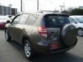 Pyrite Mica - RAV4 4WD Photo No. 4