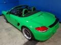 Paint to Sample Green - Boxster S Photo No. 5