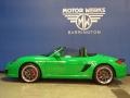 Paint to Sample Green - Boxster S Photo No. 6