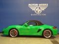 Paint to Sample Green - Boxster S Photo No. 8