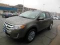 2013 Mineral Gray Metallic Ford Edge SEL AWD  photo #4