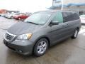 Nimbus Gray Metallic - Odyssey Touring Photo No. 7