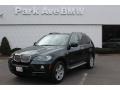 Deep Green Metallic 2010 BMW X5 xDrive48i