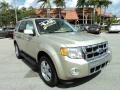 2012 Gold Leaf Metallic Ford Escape Limited V6  photo #1