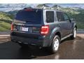 2009 Sterling Grey Metallic Ford Escape Hybrid 4WD  photo #3