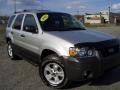 2005 Silver Metallic Ford Escape XLT V6 4WD  photo #4